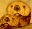 Ugly Otter
